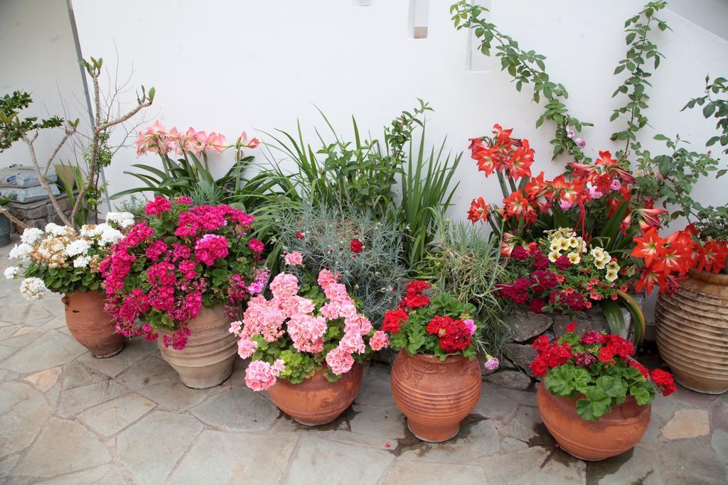 Paralia Guest House Ayía Roúmeli Ngoại thất bức ảnh